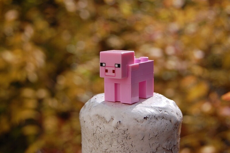 Minecraft toy pig