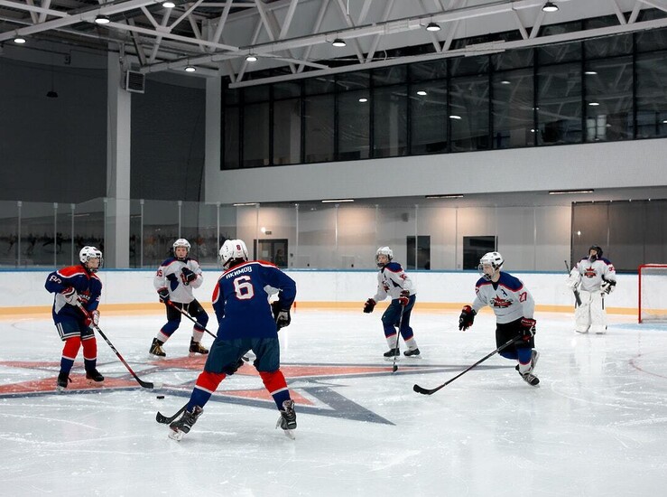 players playing hockey