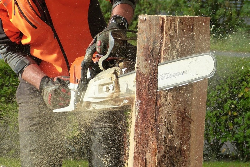 Best pages to buy cheap chainsaws in the USA (2)
